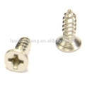 Household appliances custom-made precision countersunk screw